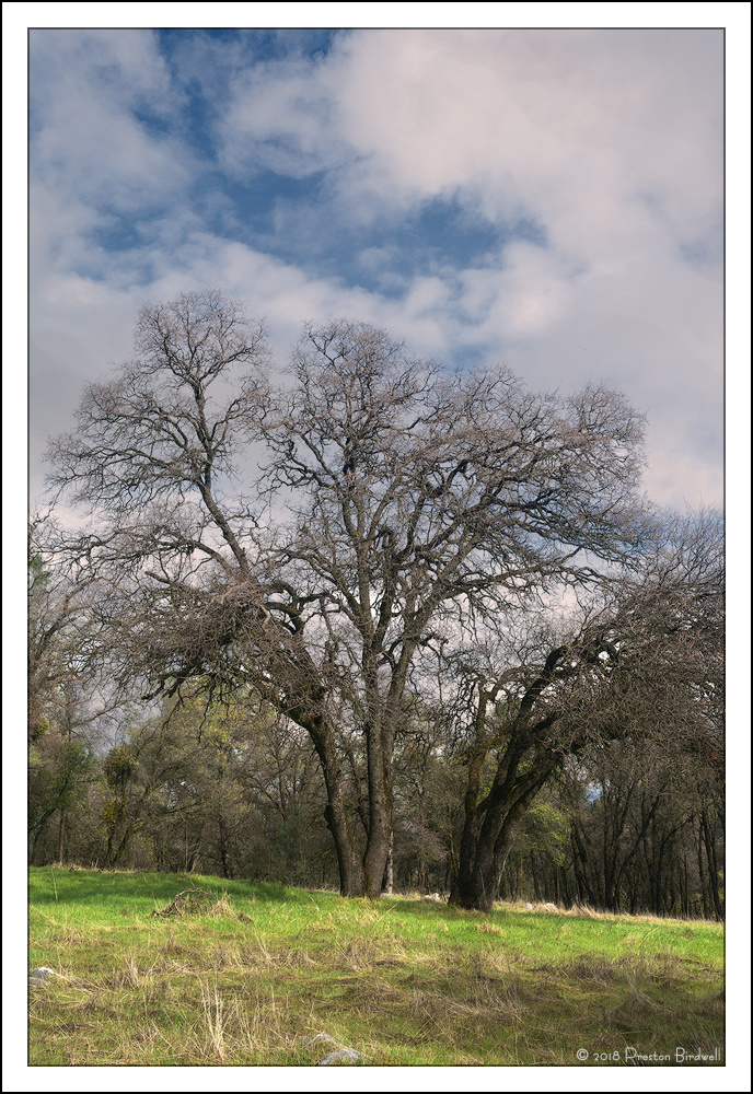 Spring is Nigh