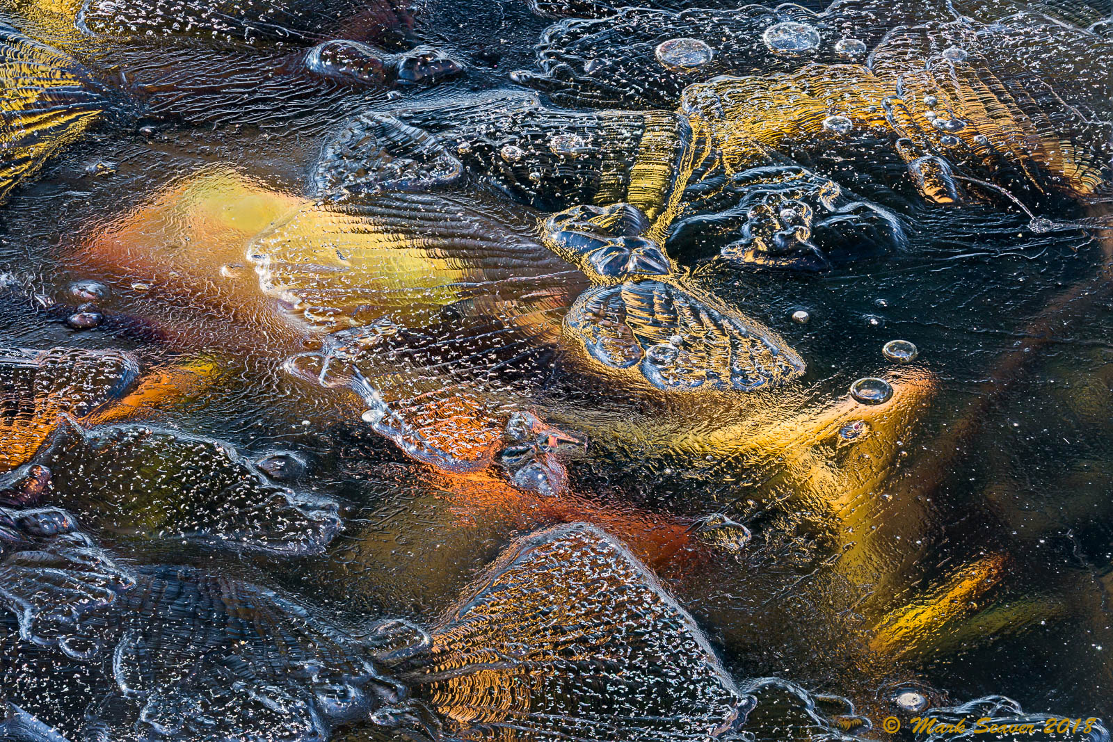 Through Thin Ice #5