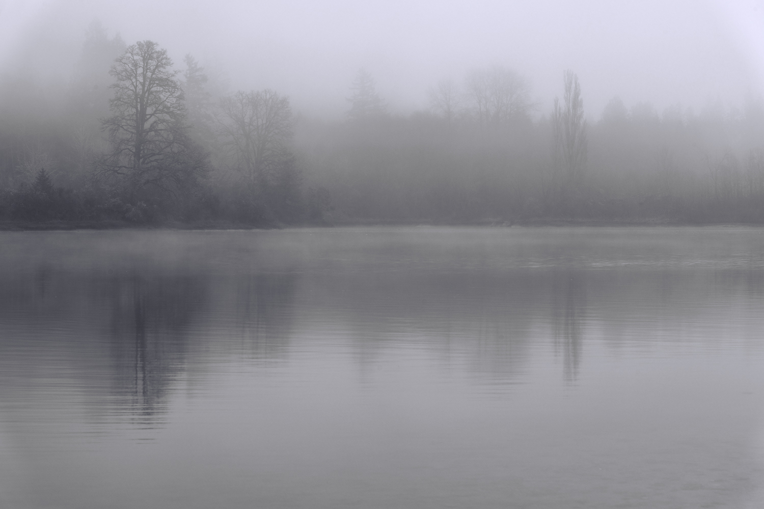 Morning fog on the inlet