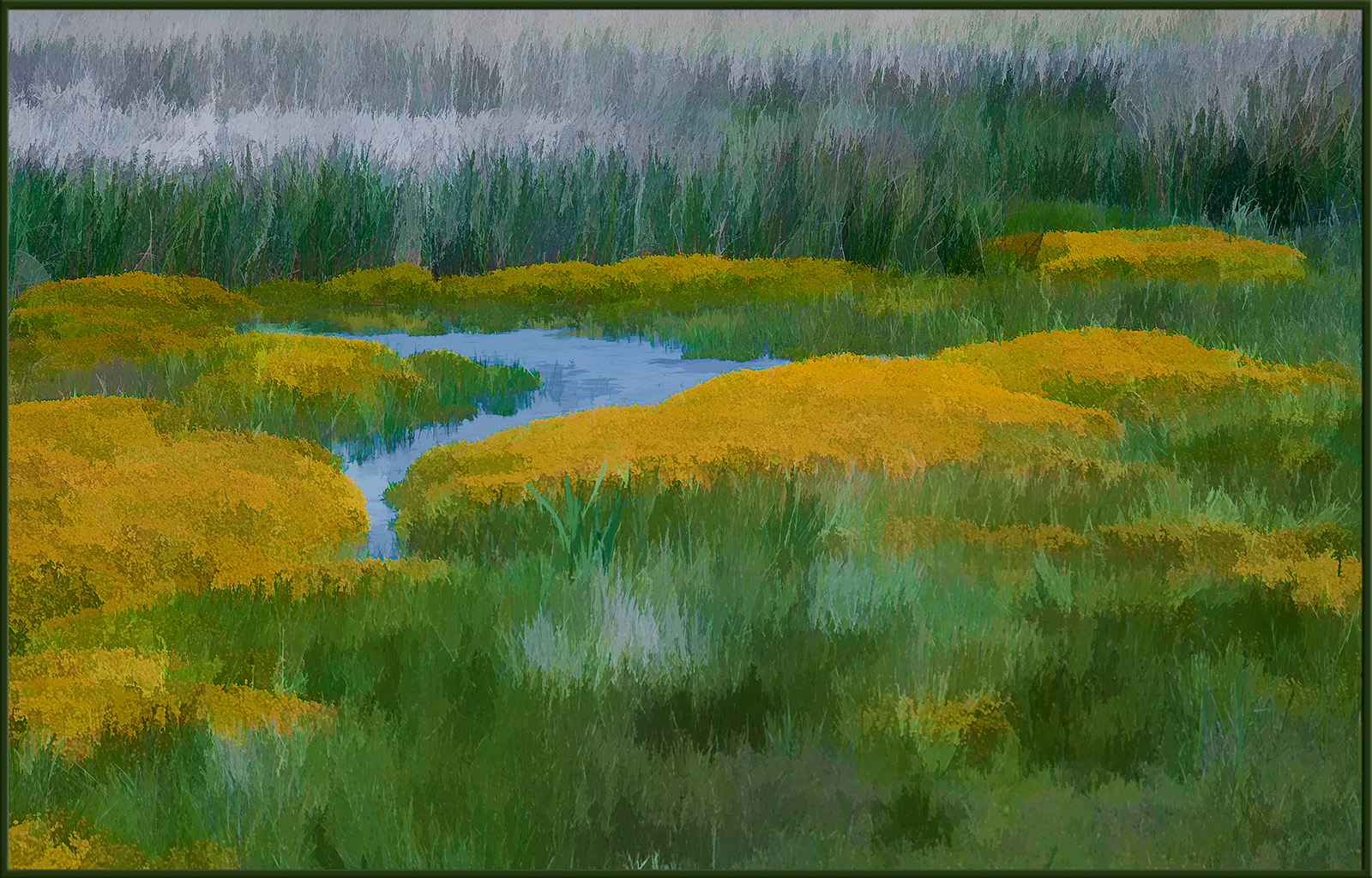 Point Reyes, CA  spring