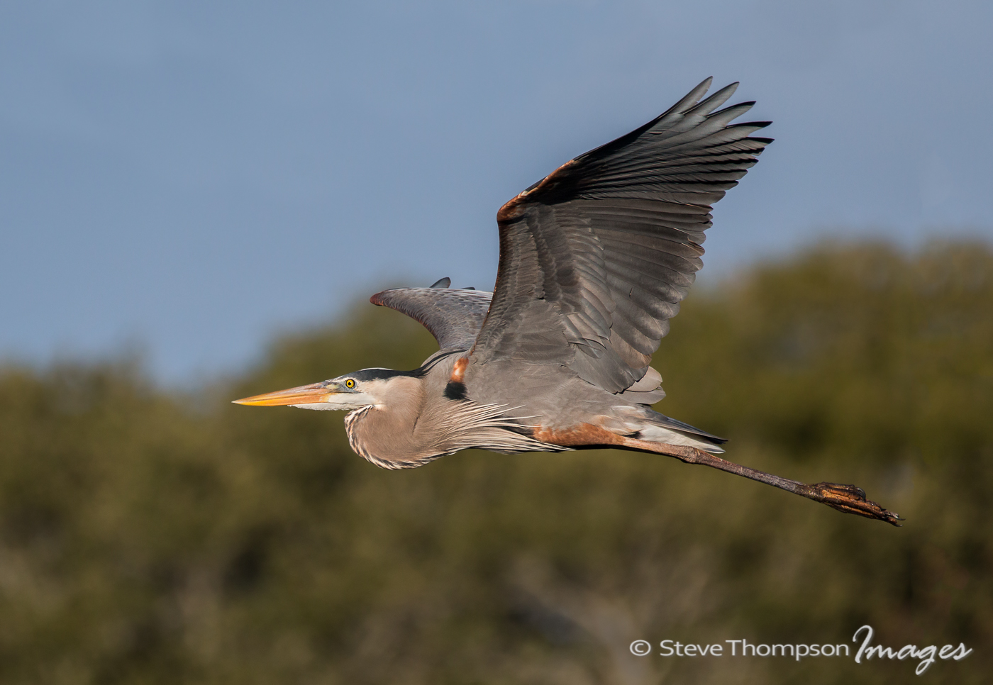 GBH In Flight
