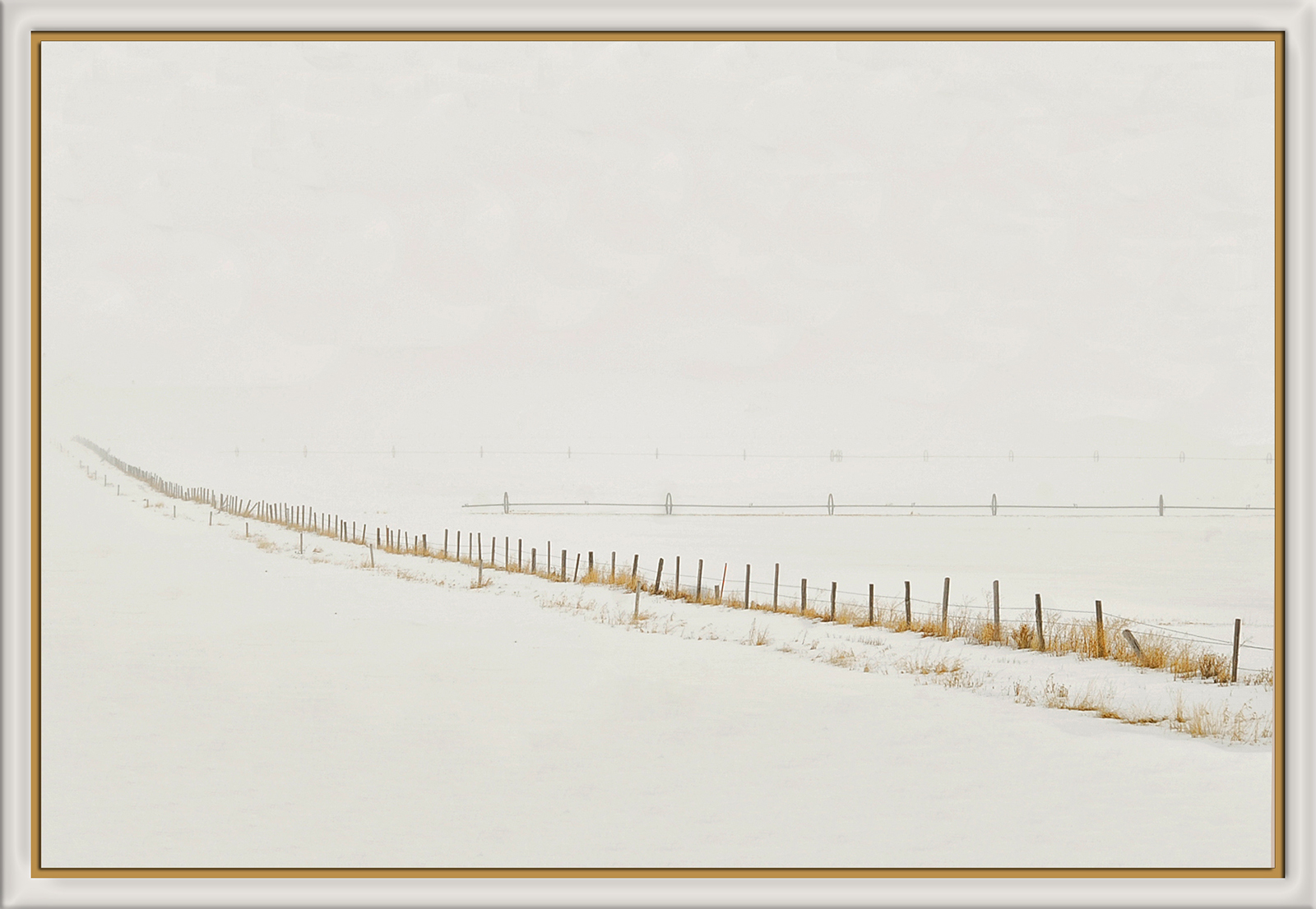 WC:  Fences