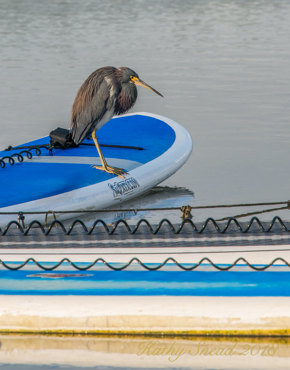 Hitching a Ride