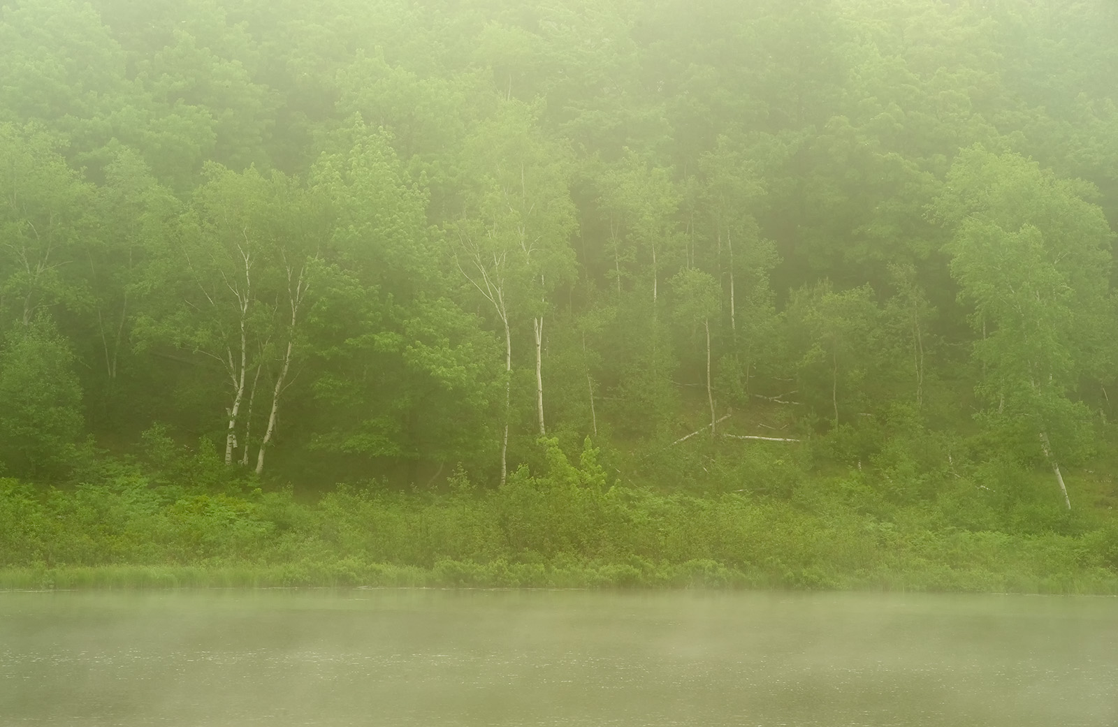 Beaver Dam Pond + repost
