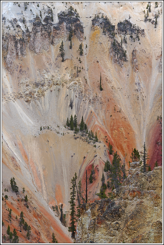 Grand Canyon Yellowstone