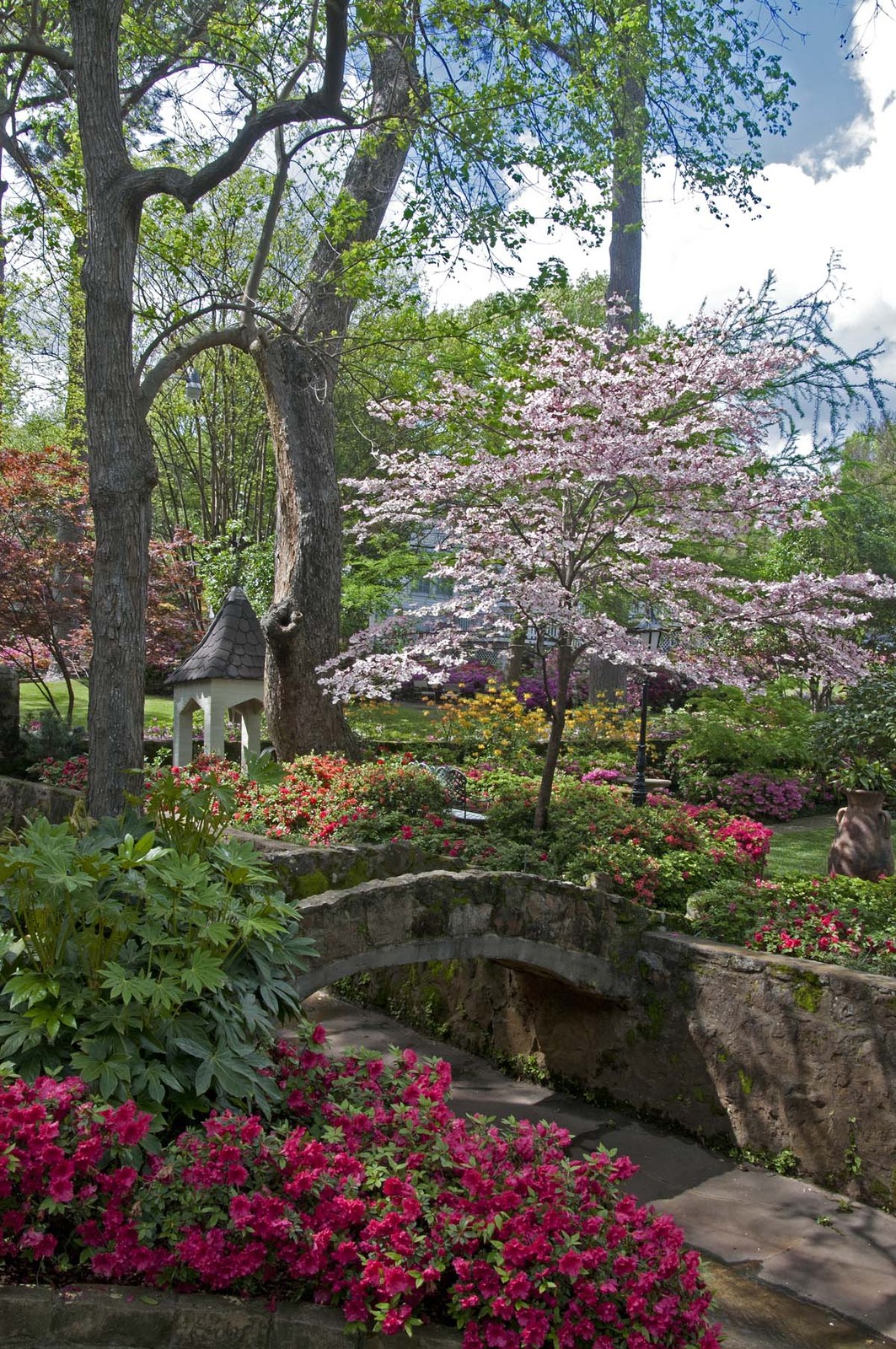 Garden in Tyler