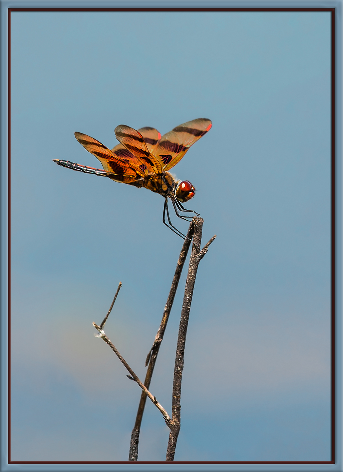 Halloween Pennant