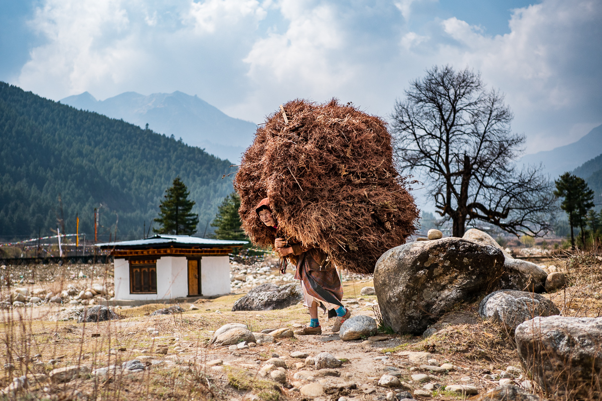 Heavy Load