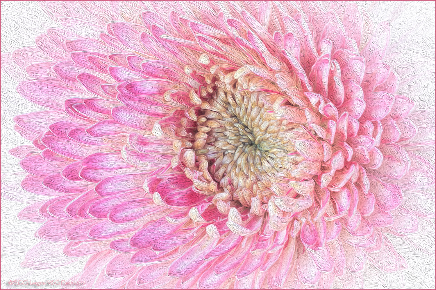 Soft Petaling