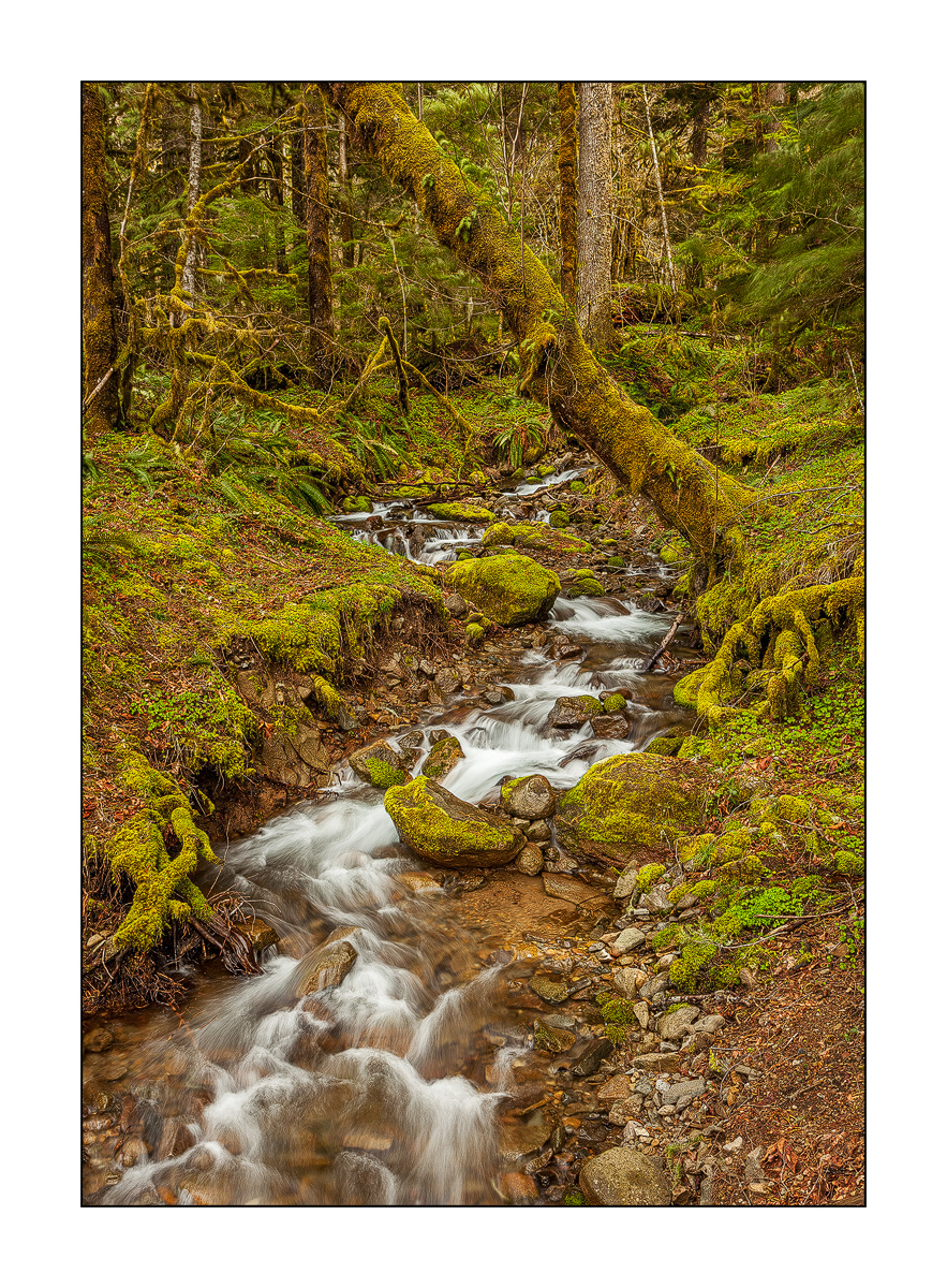 Merrill Lake Cascade