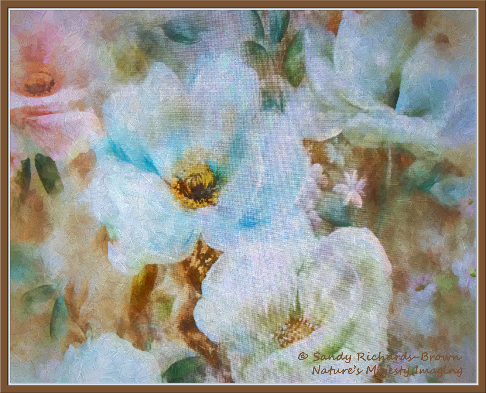 Impressions 13