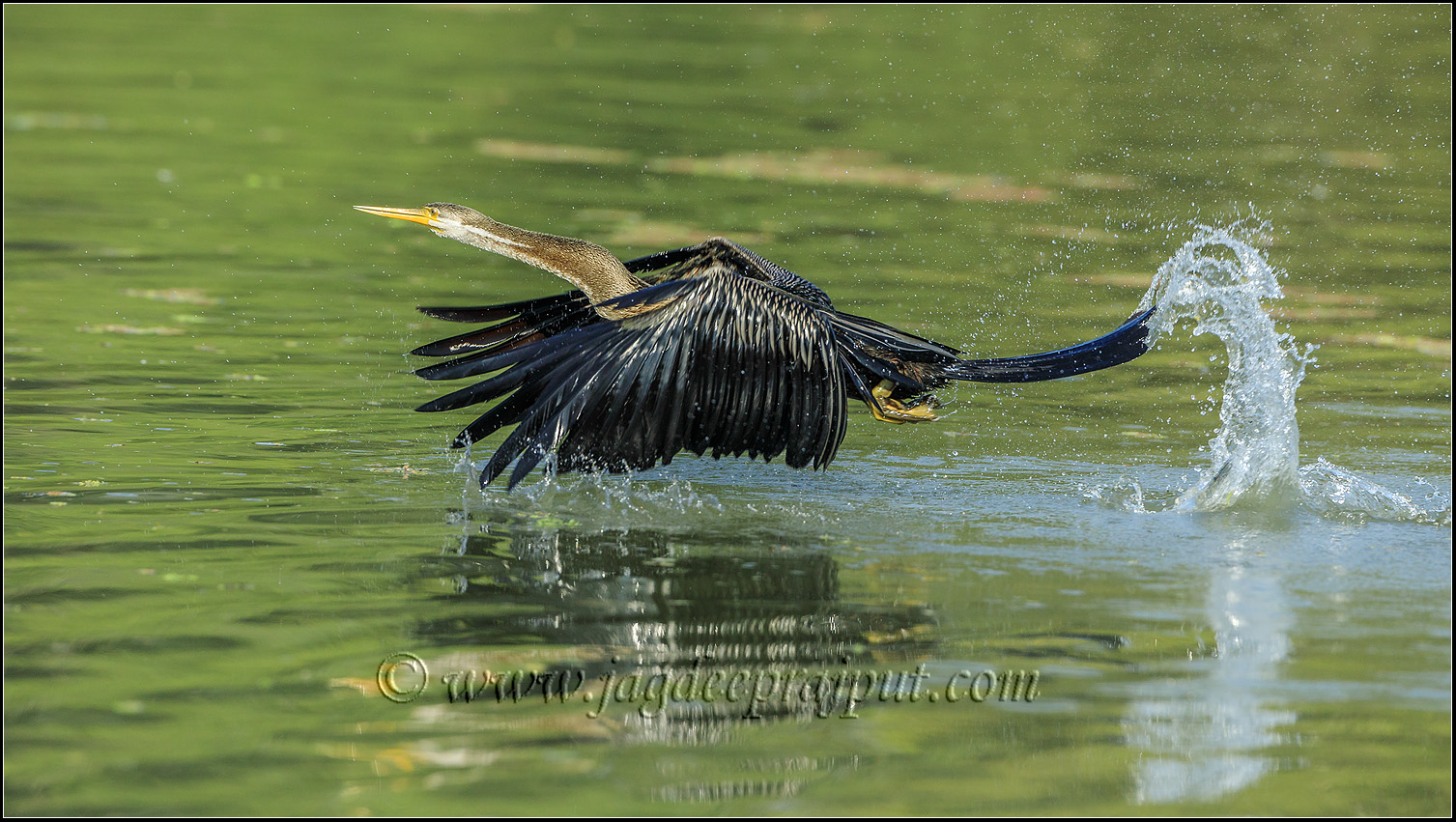 Taking off