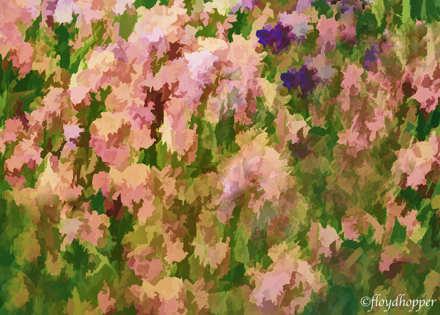 Iris Garden