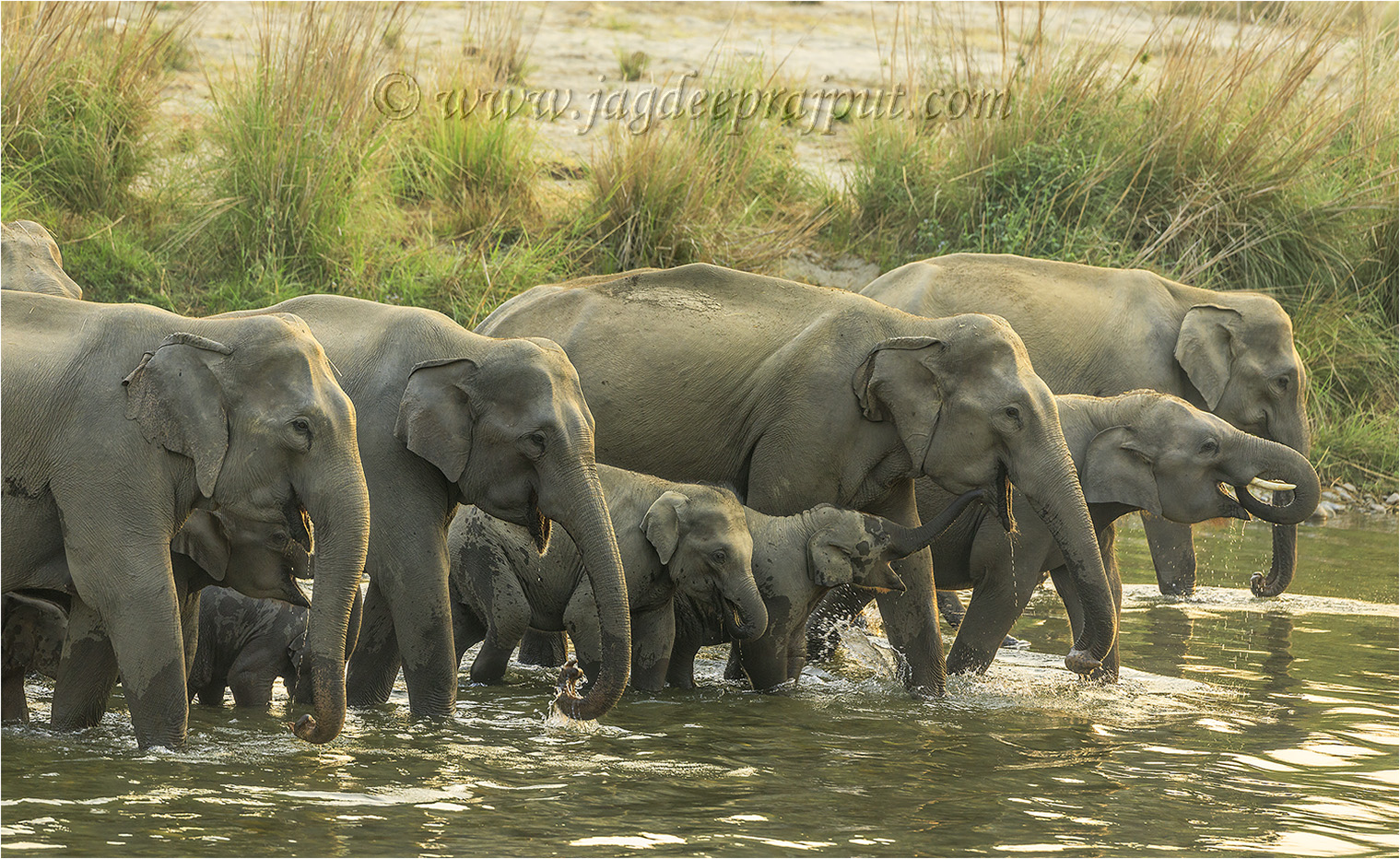 Out for a morning drink