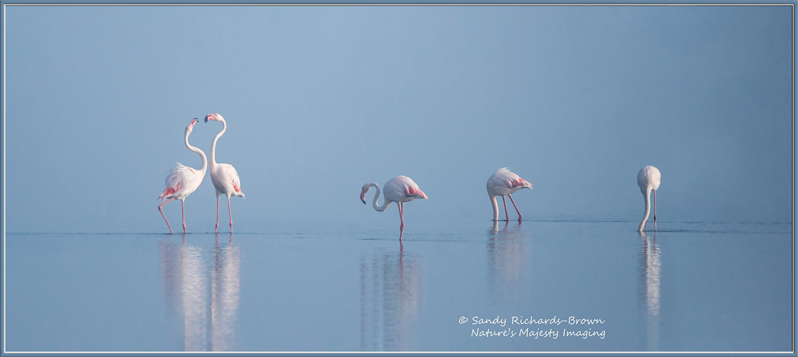 Namibia Mist