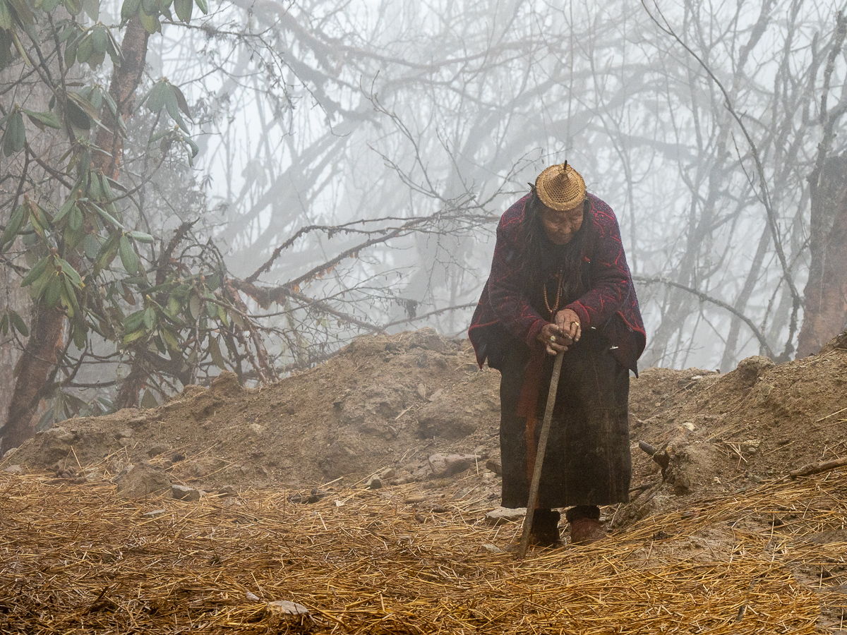 Old Woman in the Mist