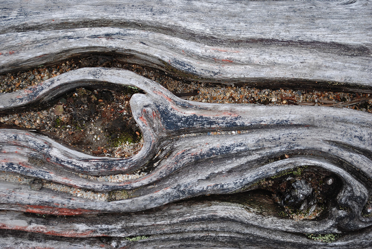 Wood Knot 