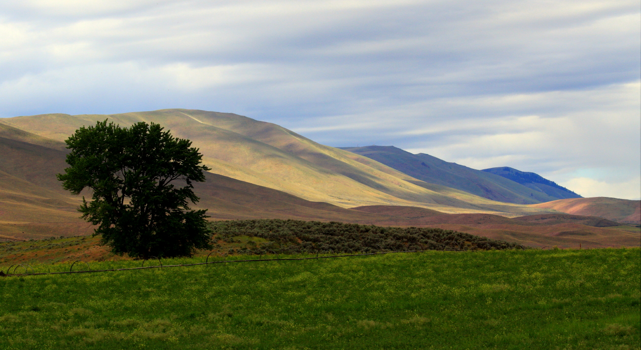 Satus Hills