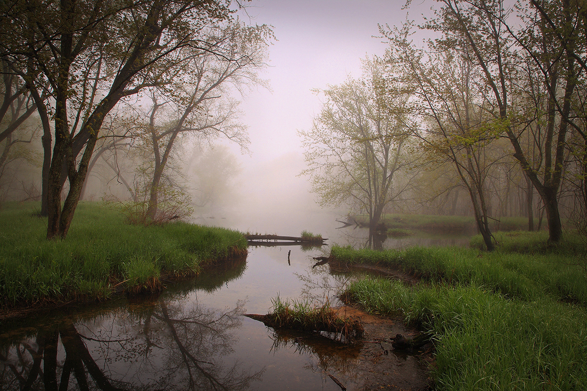 Quiet Stream