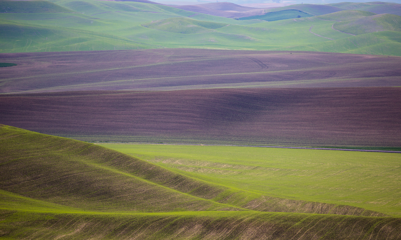 Fields of Dreams
