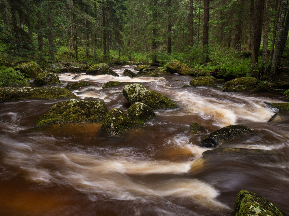 Waldviertel Wilderness