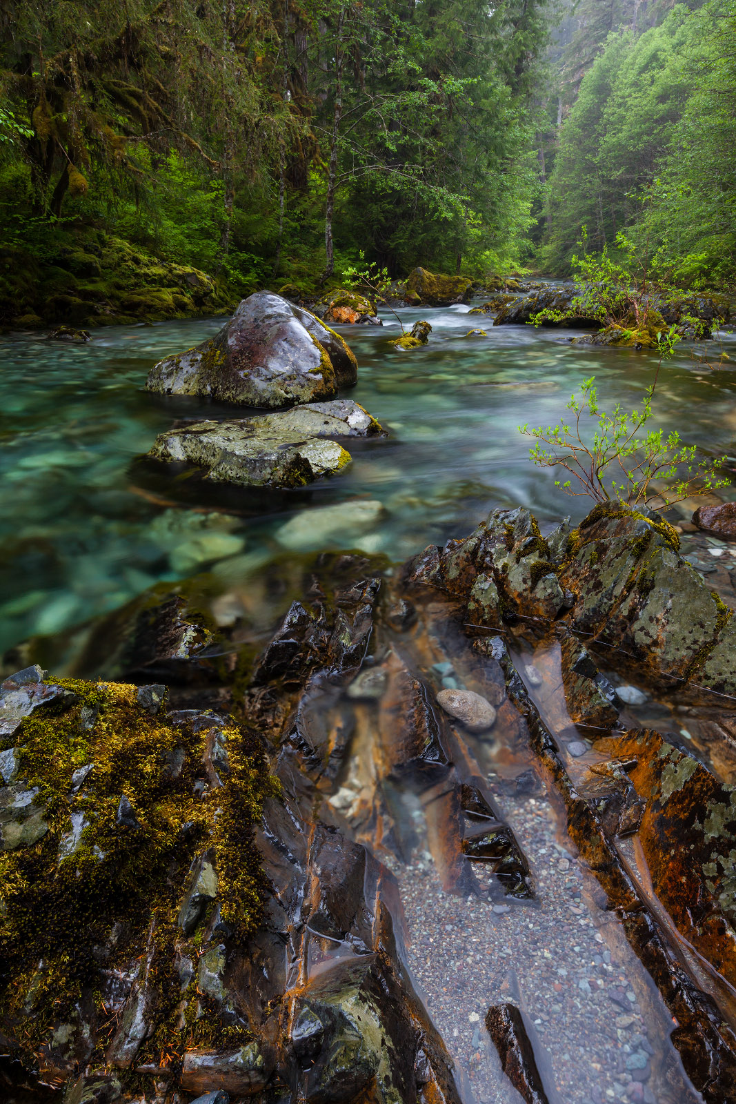 Along Opal Creek