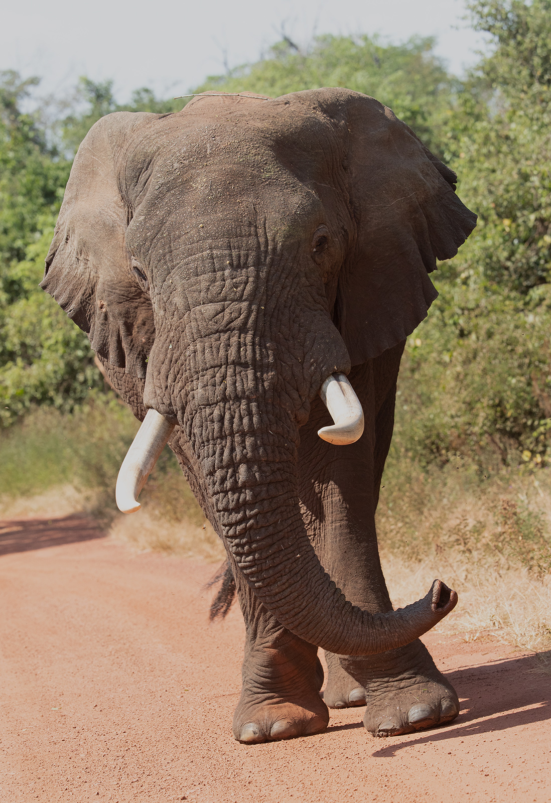 Here I Am