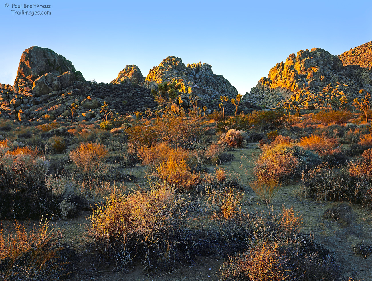 Sheep Pass Sunrise