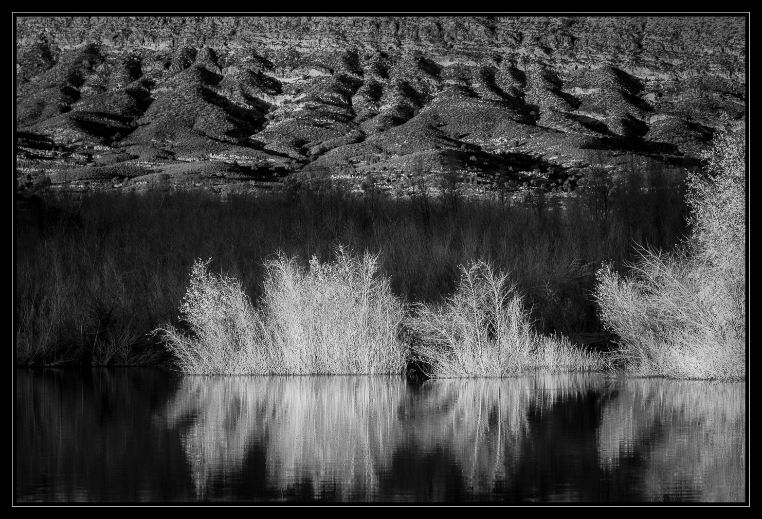 Water Hole