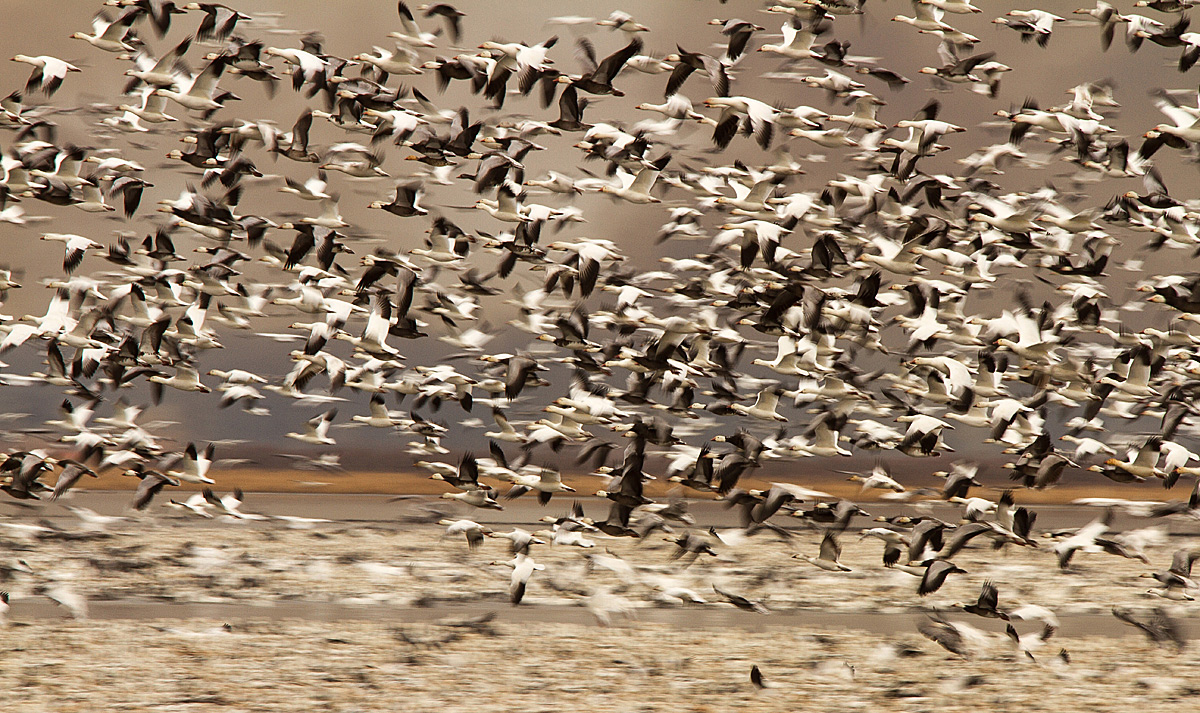 On the Move