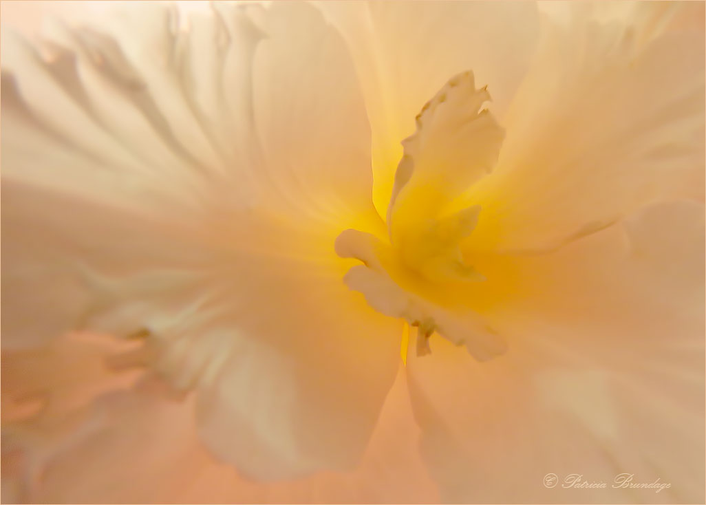 Hidden Inner View