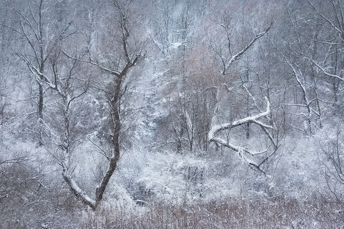 Last Snow