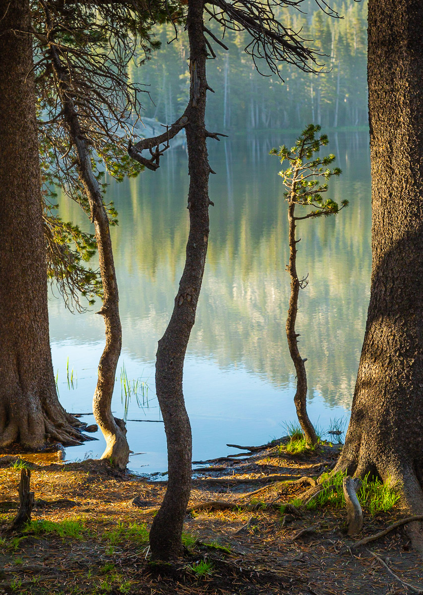 Lakeside Morning