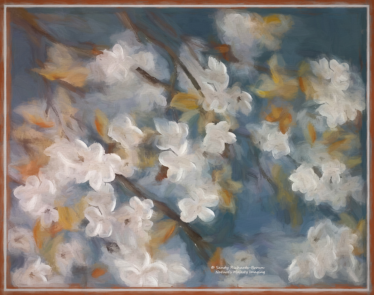 Memories of Spring
