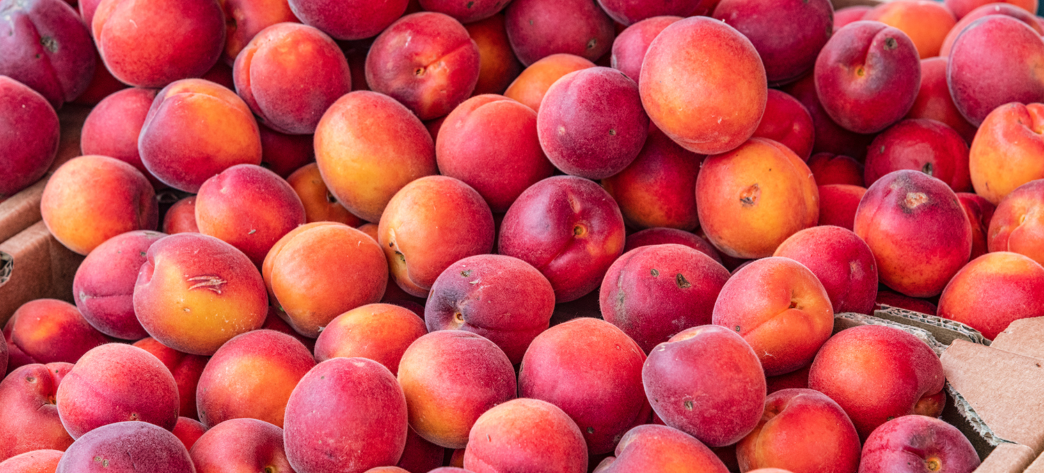 French Apricots