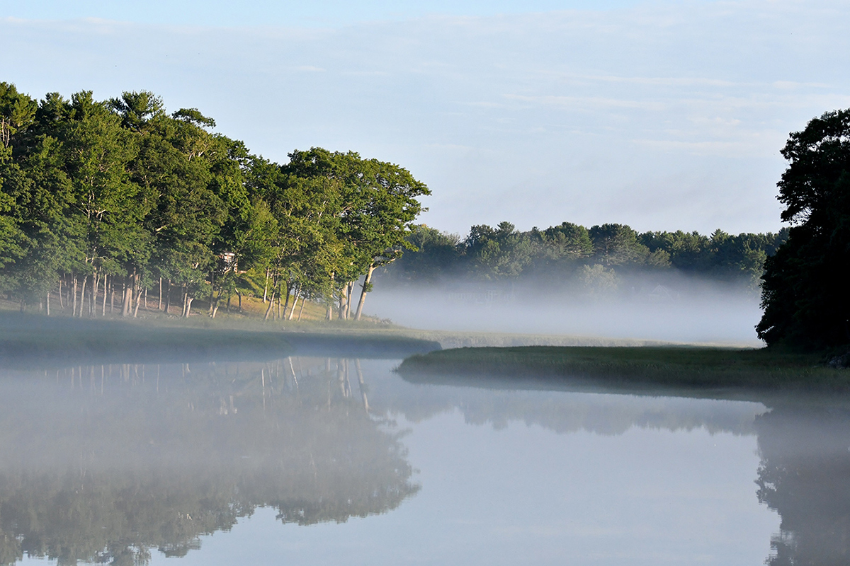 Misty Harbor Morning