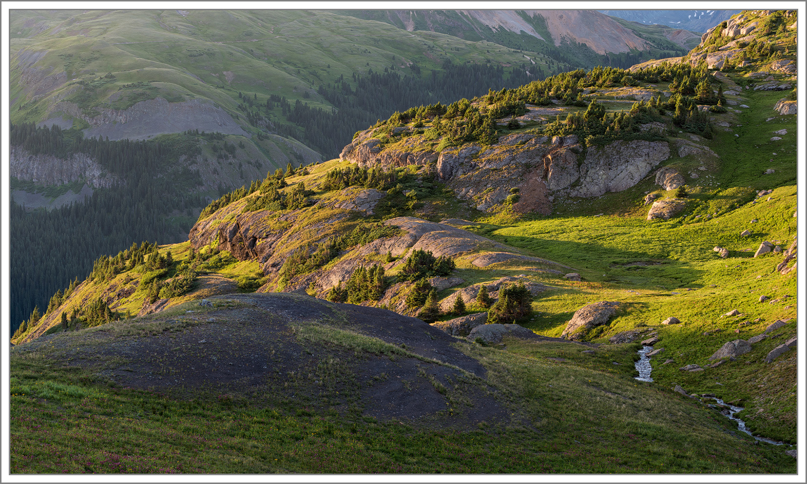 Colorado Green
