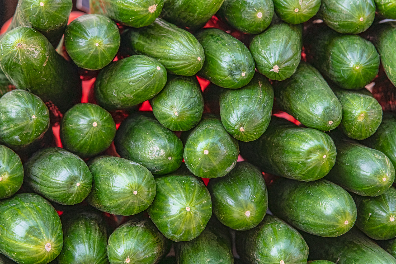 Cucumbers