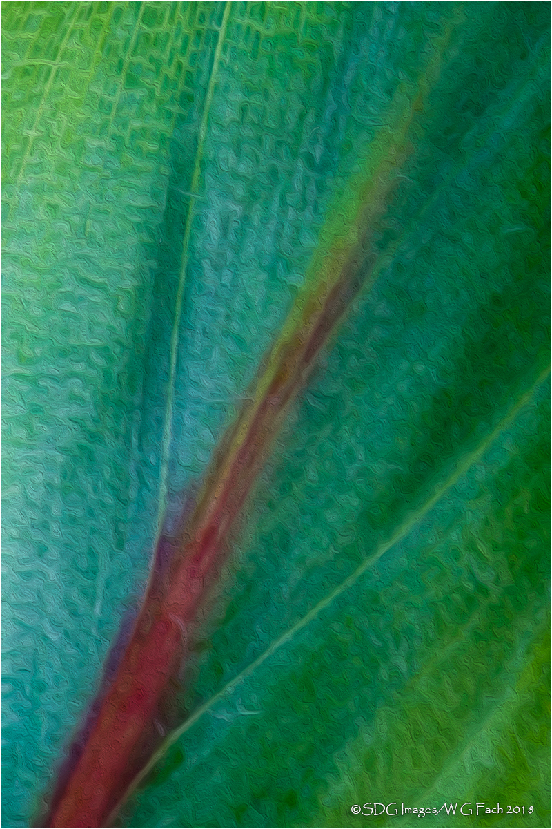 ...And a Pinch of Color