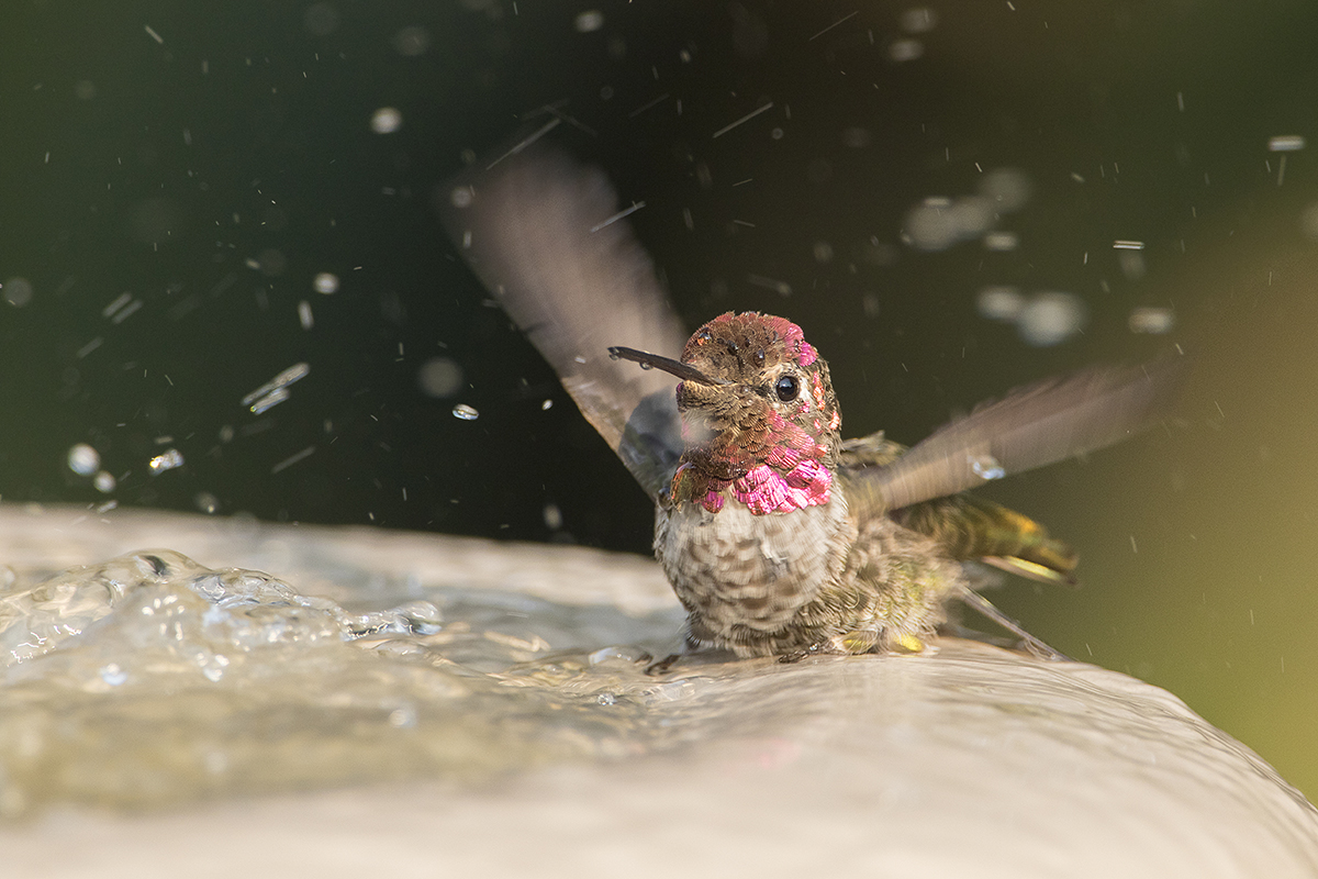 Bath Time