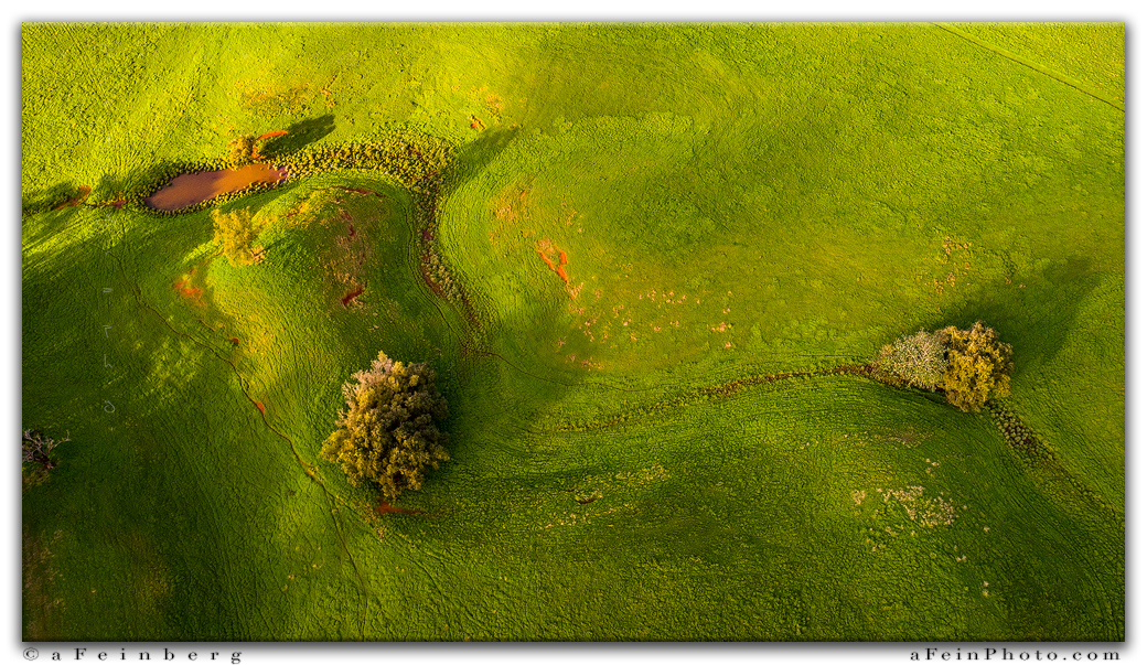 Field Aerial