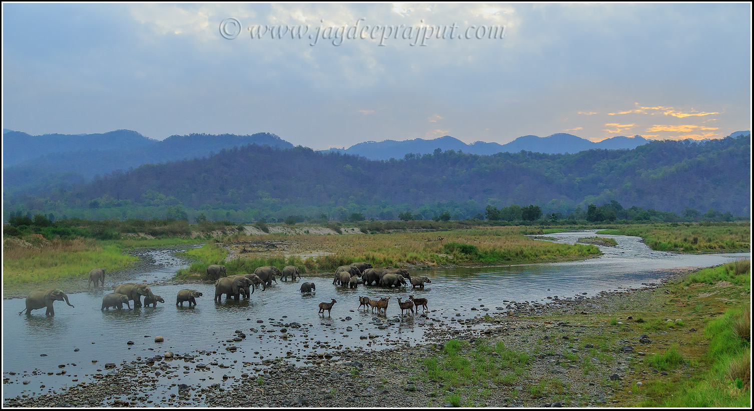 On the banks of Ramganga