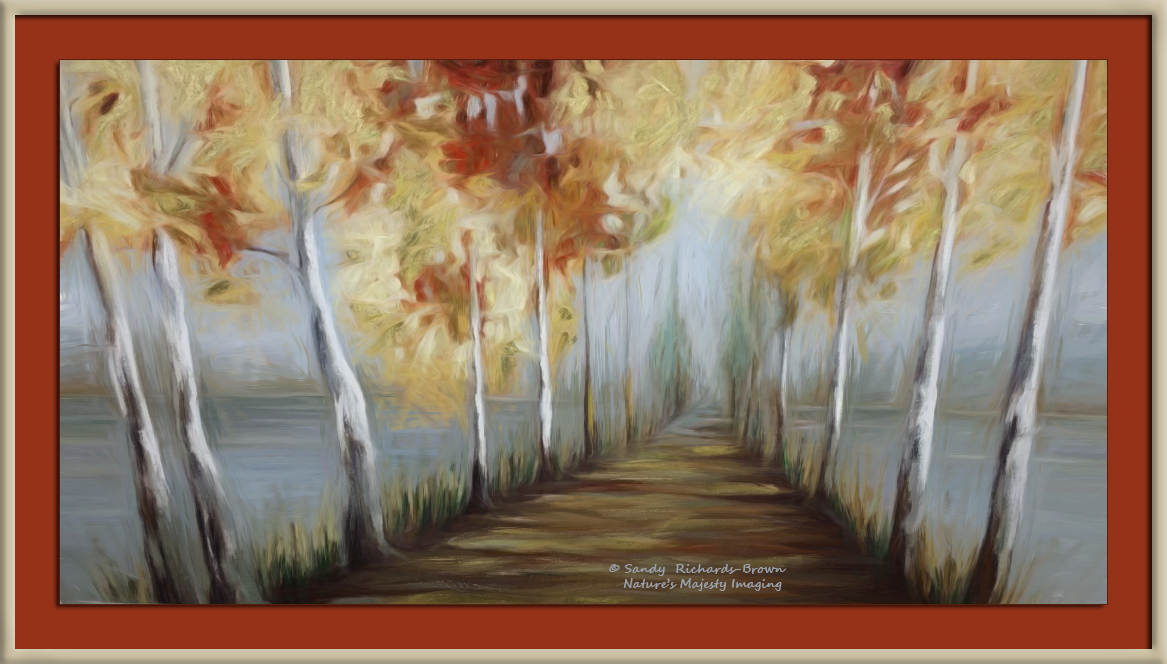 Birch Path