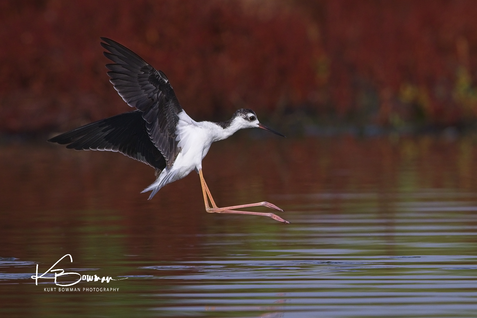 Stilt Landing