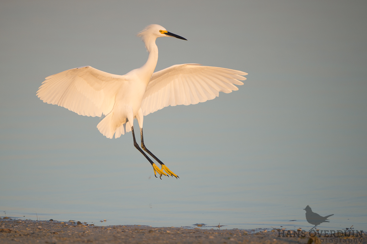 The Perfect Landing