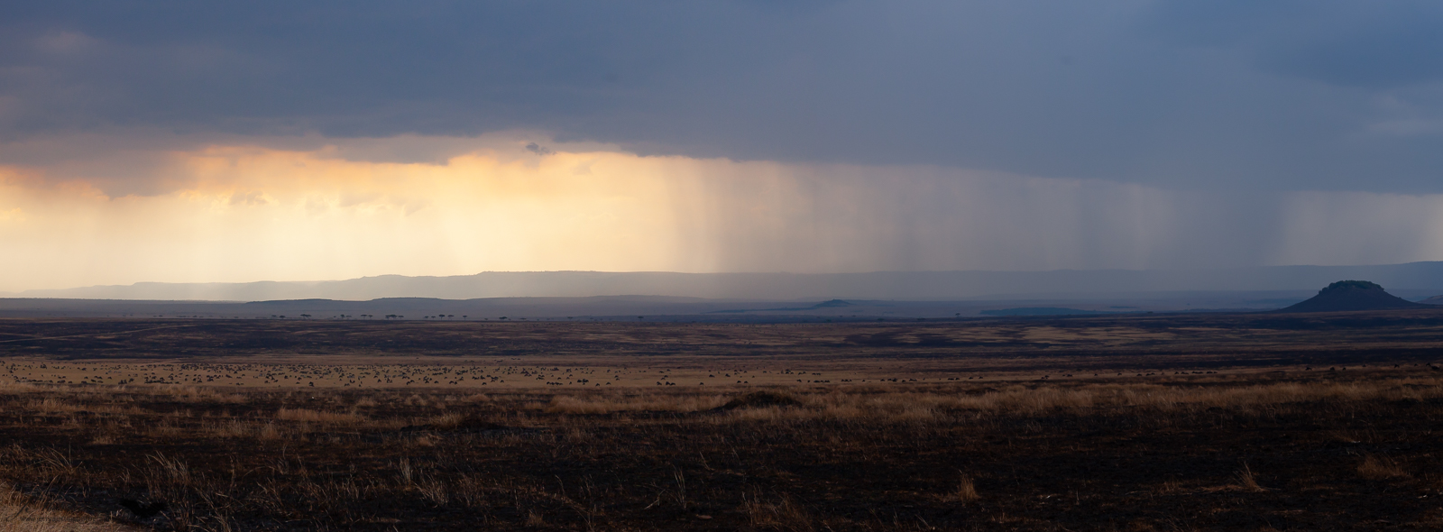 The Rains in Africa