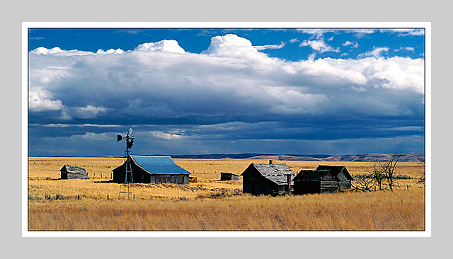 Abandon homestead...