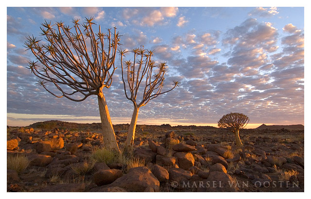 Namibian Morning