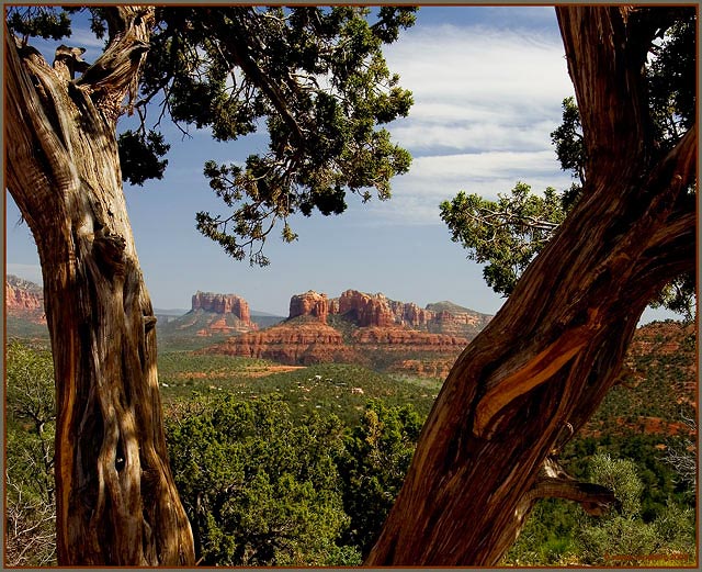 Frame by Nature