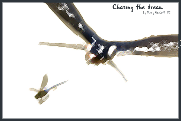 Chasing the dream